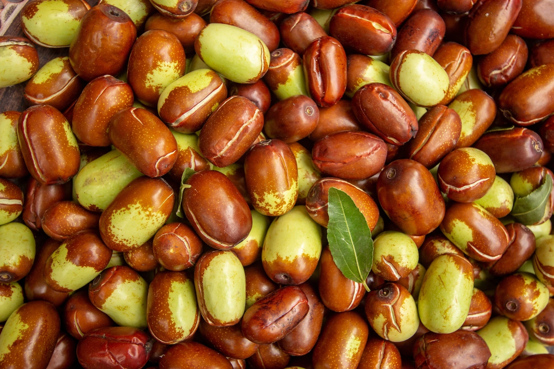Jojoba Oil